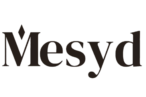 Mesyds Store